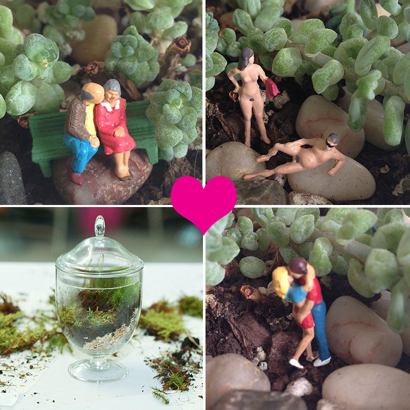 DIY Date Night: Dirty Terrariums Past Workshop Brooklyn Craft Company